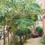 天堂公寓