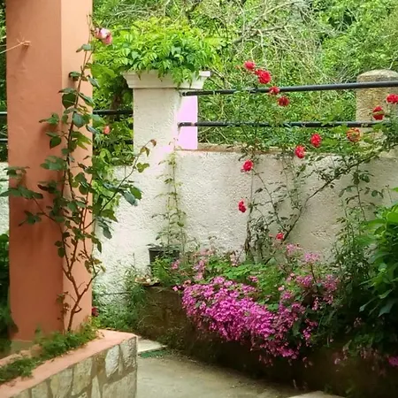 Paradise Apartment Liapades