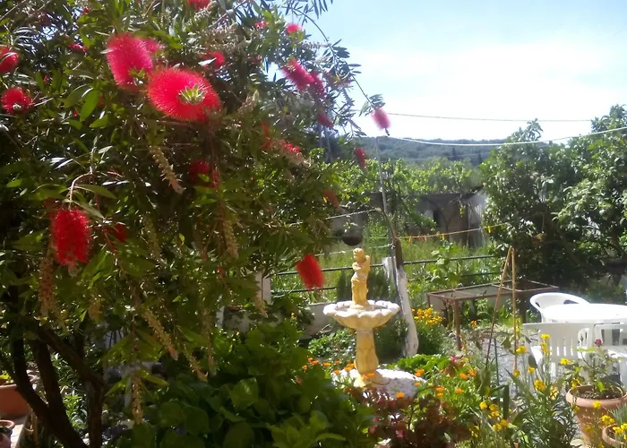 Paradise *