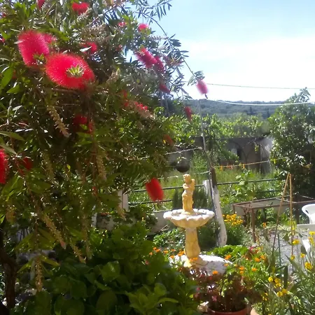 Paradise *